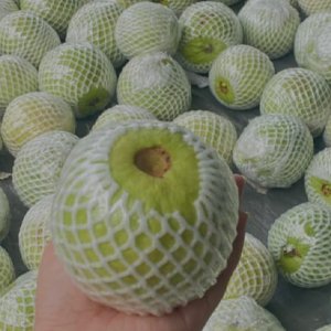 Crunchy white-flesh guava with smooth green skin
